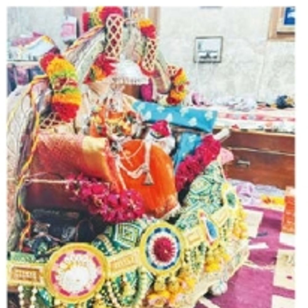 અમદાવાદના નવાપુરા બહુચરાજીમાં 125 વર્ષ જૂની પાલખીમાં નગરયાત્રા