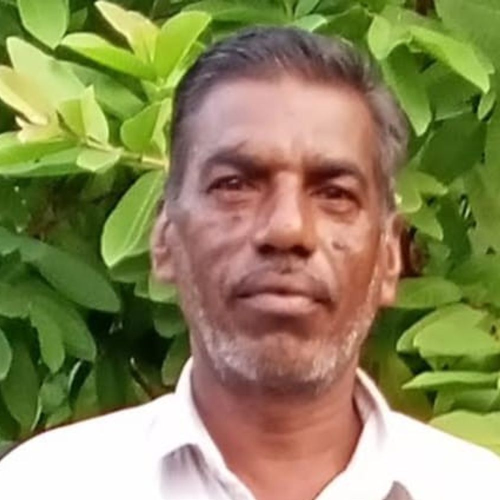શહેરાના દલવાડા પાટિયા પાસે અજાણ્યા વાહનની ટક્કરે મોત:એક્ટિવા ચાલકને વડોદરા રીફર કરાયા બાદ રસ્તામાં જ દમ તોડ્યો