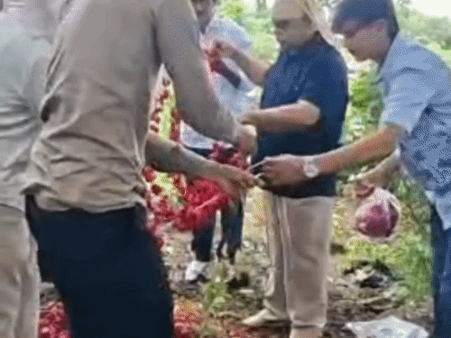 'ઘરે આવજો, બંને સાથે ચા પીશું':પૂર્વ MP રાજેન્દ્રસિંહ રાણાએ મિત્ર ઉમરની કબરે ફૂલની ચાદર ચઢાવી શ્રદ્ધાંજલિ આપી, સાવરકુંડલામાં ઝાખરા પરિવારને દિલસોજી પાઠવી