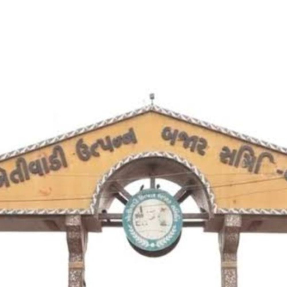 બોટાદ માર્કેટ યાર્ડ 15 અને 16 સપ્ટેમ્બરે બંધ રહેશે:સવંત્સરી અને ઋષિ પાંચમ પર્વને કારણે હરરાજીનું કામકાજ બંધ રહેશે