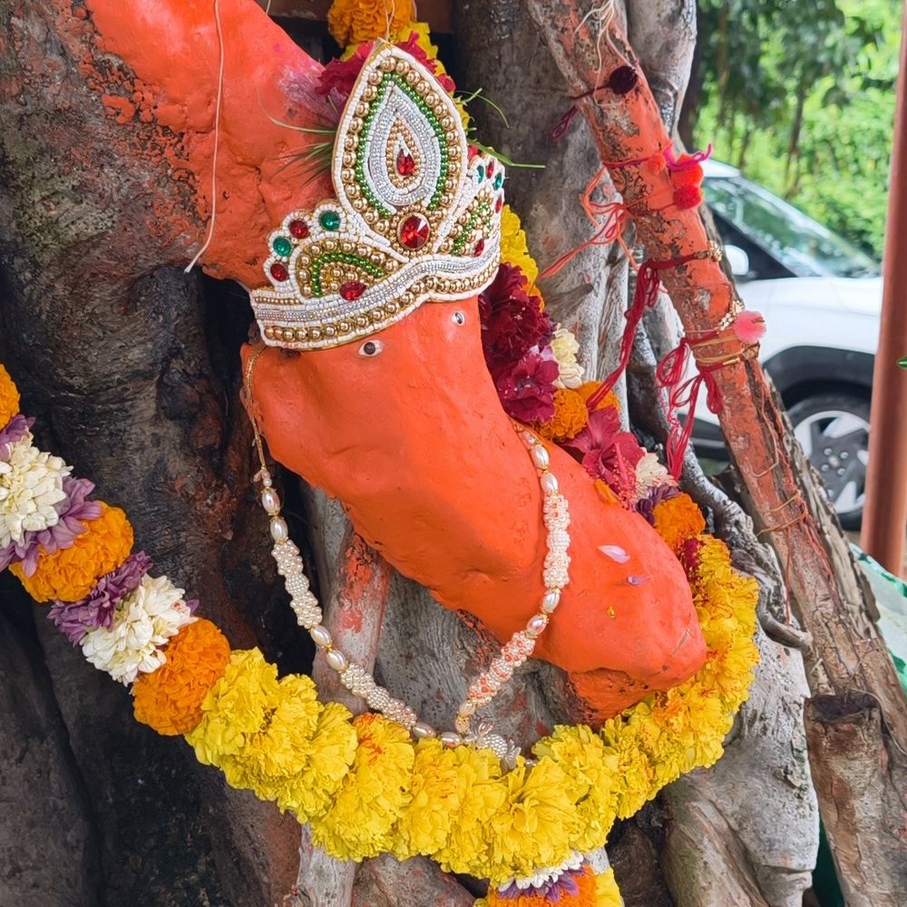 ઔરંગઝેબની સેનાને હંફાવનાર શ્રીજી:સિસોદ્રાના વડમાં સ્વયંભૂ બિરાજમાન ગણેશજી, બાધા પૂર્ણ થતાં દૂર-દૂરથી દર્શને આવે છે ભક્તો