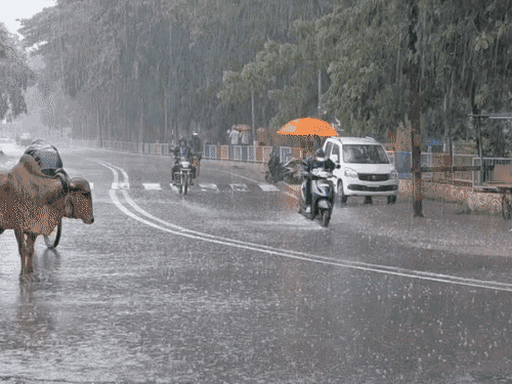 રાજ્યમાં હળવાથી મધ્યમ વરસાદની આગાહી
