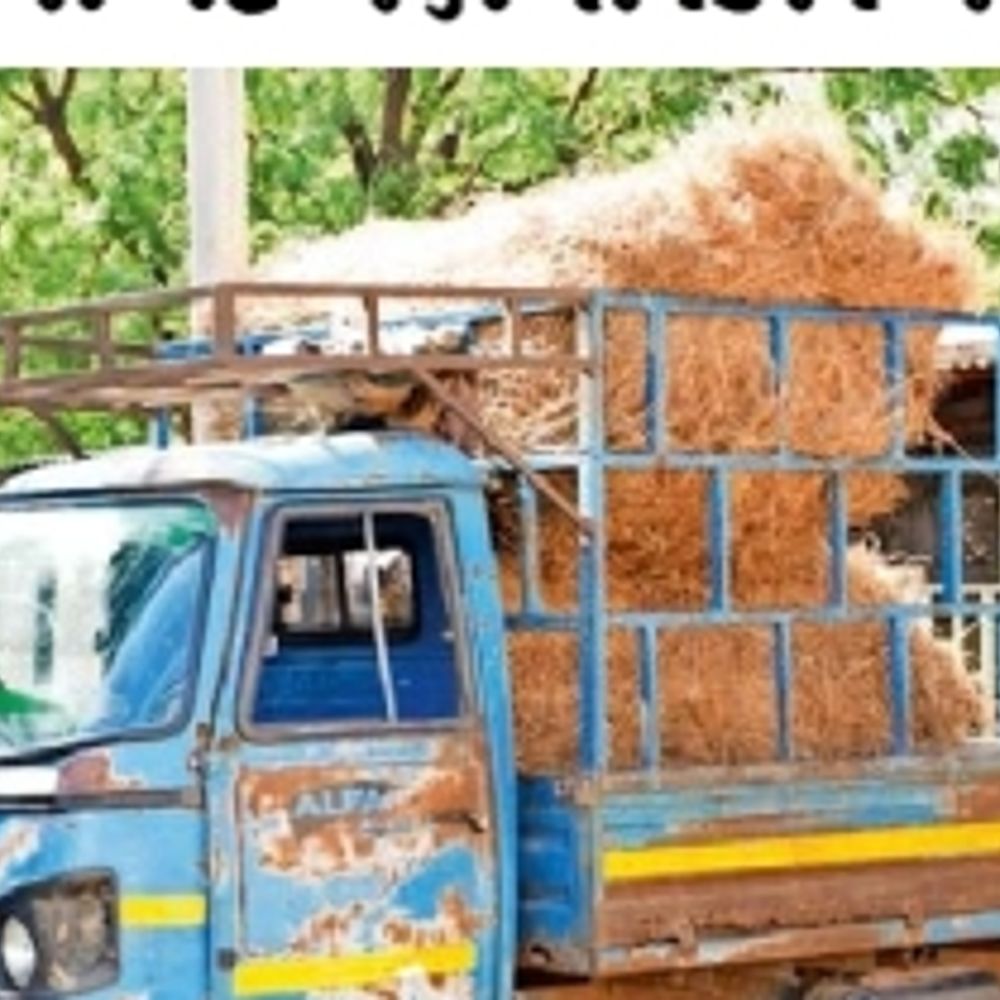 કચ્છમાં રાહત દરે ઘાસ વિતરણ બંધ