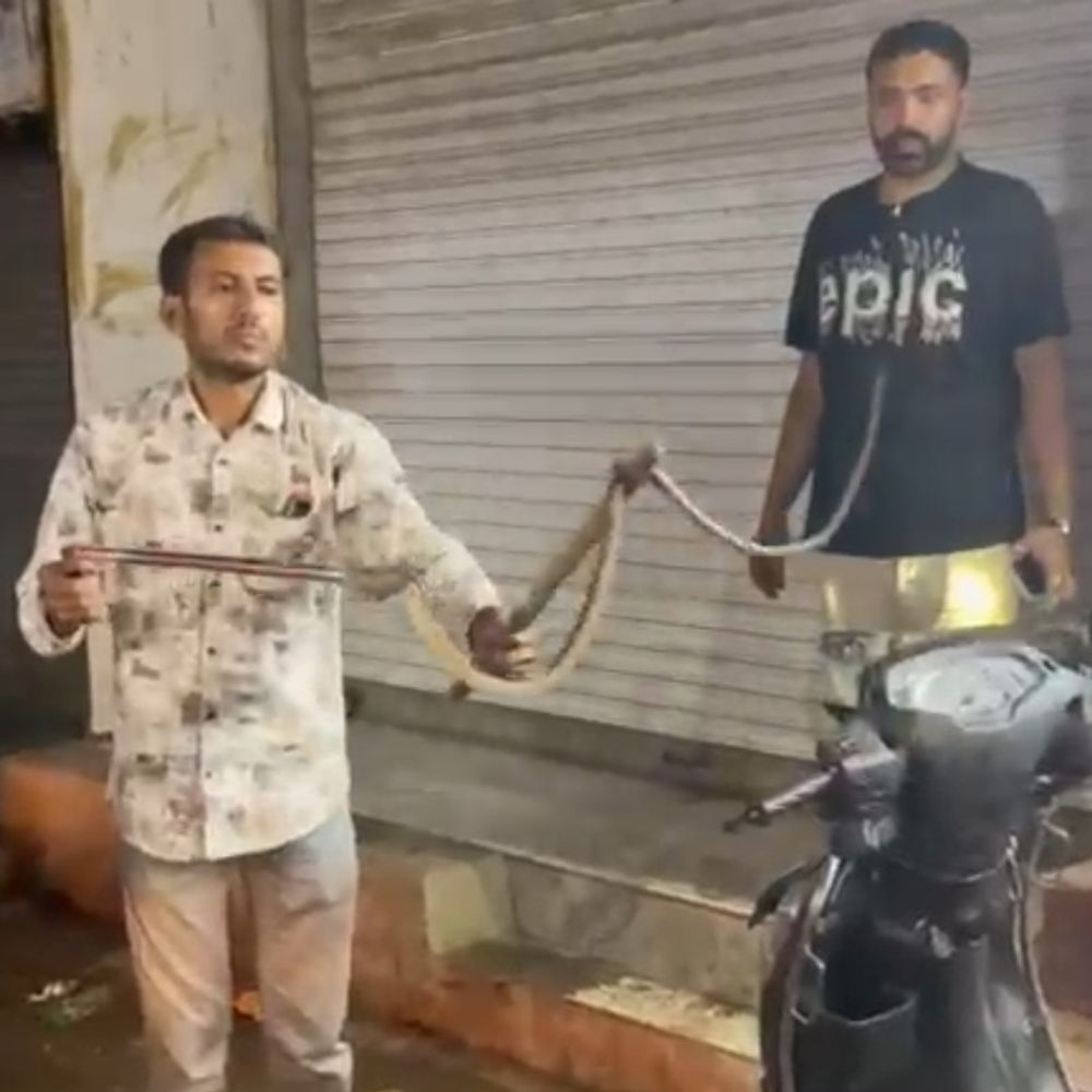 ગારિયાધારના બજારમાં એક્ટિવામાં સાપ દેખાતા અફરાતફરી:લોકોમાં ગભરાટ ફેલાયો, બાદમાં એક વ્યક્તિએ સાપને પકડી સુરક્ષિત છોડ્યો