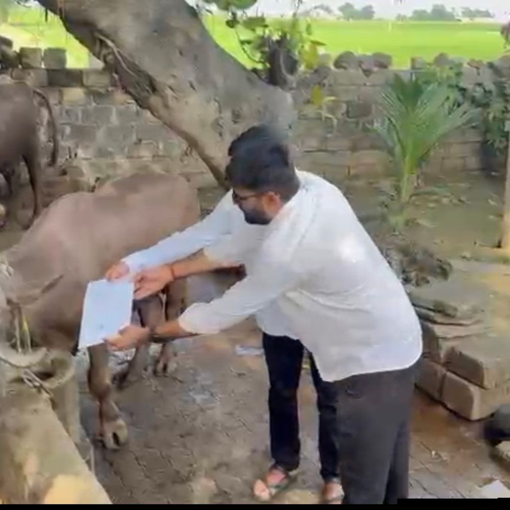ઈટાલિયાએ તો ભારે કરી, સીધું ભેંસને આવેદન આપવા પહોંચી ગયા:ભૂરી ભેંસે મોઢું ફેરવતી લેતા ધારાસભ્યએ ચાબખા માર્યા, કહ્યું- સરકાર ભેંસ જેવી, ખેડૂતોના પ્રશ્નોની વાત આવે ત્યારે મોઢું ફેરવી લે છે