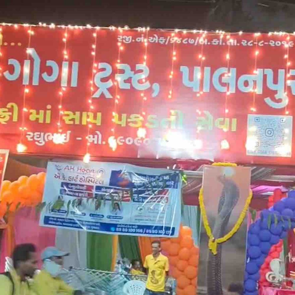 પાલનપુરમાં અંબાજી જતા પદયાત્રિકો માટે જય ગોગા ટ્રસ્ટનો સેવાયજ્ઞ:13 વર્ષથી માઈભક્તોની અવિરત સેવા, કેમ્પમાં આરામ અને મહાપ્રસાદ સહિતની સુવિધાઓ