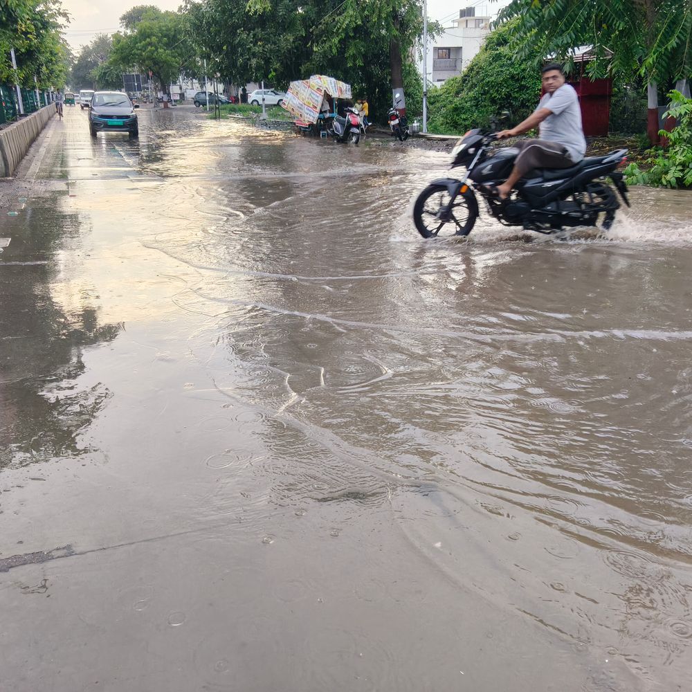વડિયામાં બે અને જાફરાબાદમાં દોઢ ઈંચ વરસાદ ખાબક્યો‎:અમરેલીમાં એક કલાક ધીમીધારે વરસાદ વરસ્યો જિલ્લામાં સાર્વત્રિક અડધાથી લઈ 2 ઈંચ વરસાદ