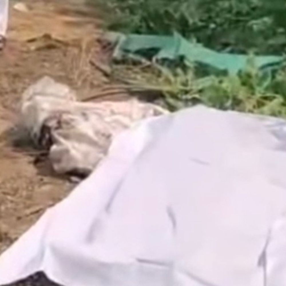 અમદાવાદમાં ટેમ્પોની ટક્કરે સગીરનું મોત:શેલા રોડ પર અડફેટે લેતા ઘટનાસ્થળે જ જીવ ગયો, પોલીસ તપાસ શરૂ