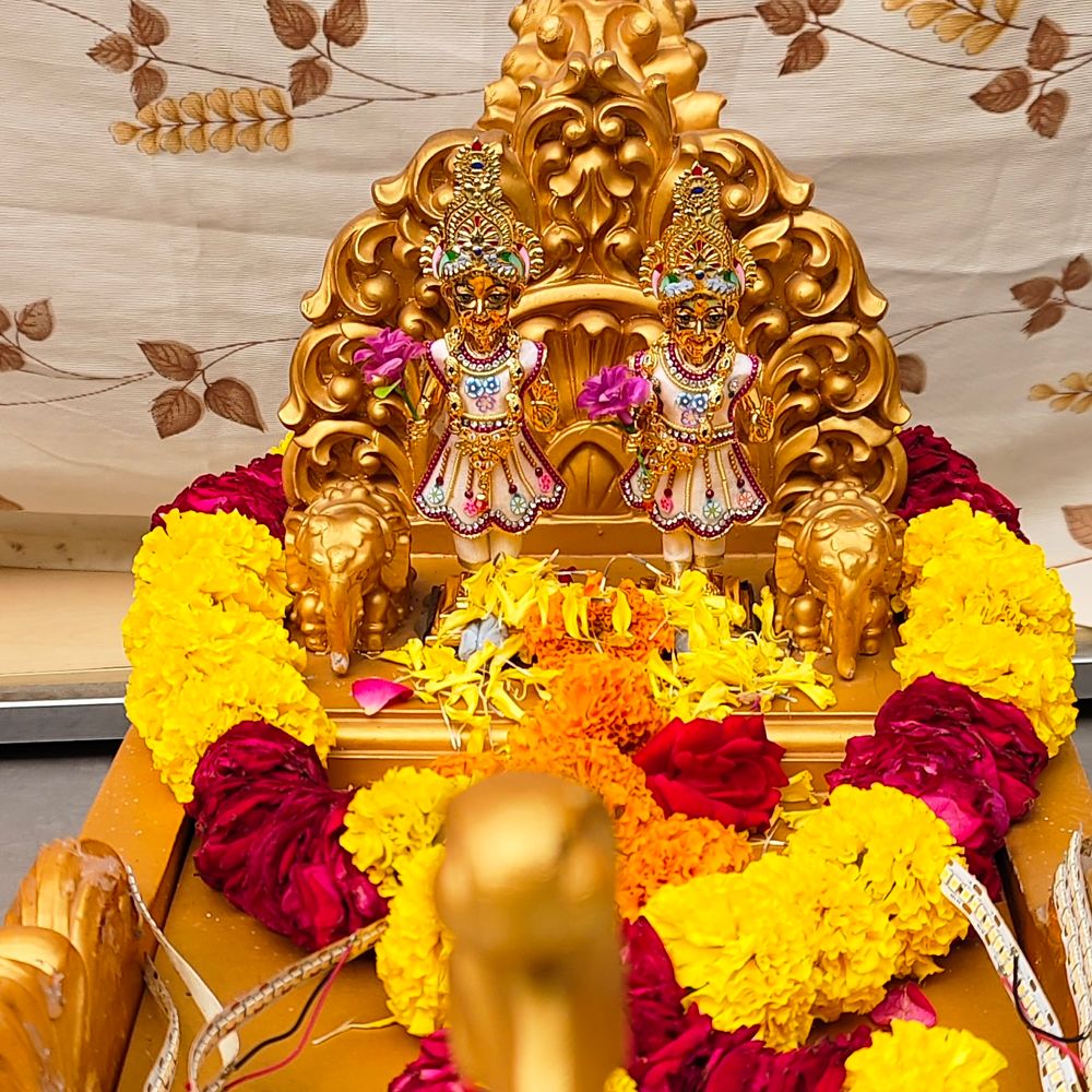 નવસારી BAPS વિદ્યામંદિરમાં જળઝીલણી એકાદશીની ઉજવણી:વિદ્યાર્થીઓ અને શિક્ષકોએ ભાગ લીધો, મૂર્તિઓને જળવિહાર કરાવાયો