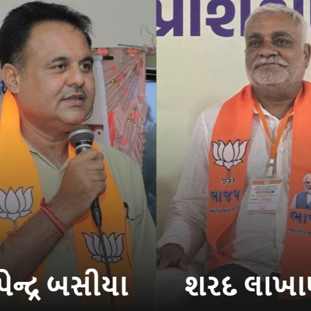 અમરેલીના બે સિનિયર ભાજપ આગેવાનોને પ્રદેશ સ્તરે મહત્વની જવાબદારી:ભુપેન્દ્ર બસીયા બક્ષીપંચ મોરચાના ઉપાધ્યક્ષ, શરદ લાખાણીનો પ્રદેશ ભાજપ કારોબારીમાં સમાવેશ ઉપરાંત ગીર સોમનાથ જિલ્લાના સંગઠન પ્રભારી