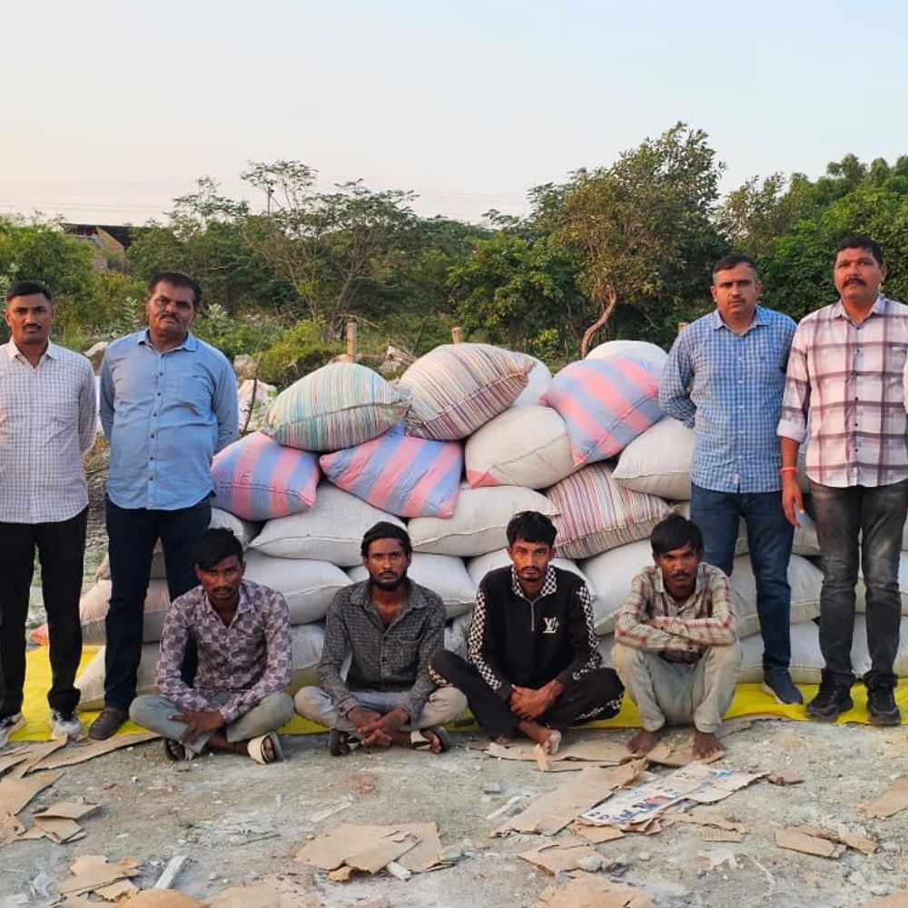 ચરાડવા ગામમાં જીરૂ ચોરીનો ભેદ ઉકેલાયો:ચાર આરોપી ઝડપાયા, 12.77 લાખનો મુદ્દામાલ કબજે; 3 ફરારની શોધખોળ