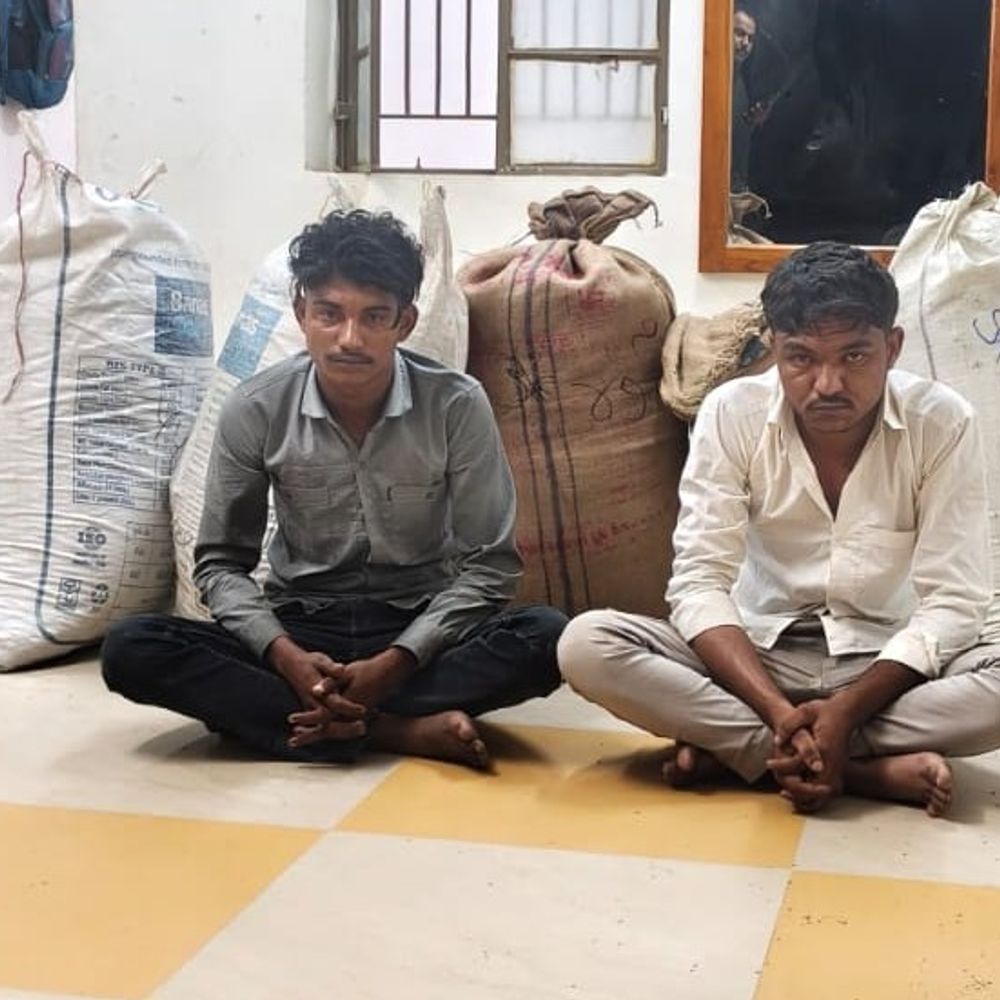 ચાલુ પીકઅપ ડાલામાંથી જીરાની ચોરી કરતી ગેંગના 2 સભ્યો ઝડપાયા:પાટણ SOGએ 1.04 લાખથી વધુના મુદ્દામાલ સાથે બન્નેને ઝડપ્યાં, 3 સાગરીતો ફરાર