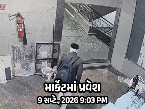 સારોલી શ્યામ સંગિની માર્કેટમાં આગકાંડ:ભૂલનું ભાન થતાં ત્રણ ભગવાન પાસે માફી માંગી આવ્યો, આરોપીનો કરાશે ગેટ એનાલિસિસ ટેસ્ટ