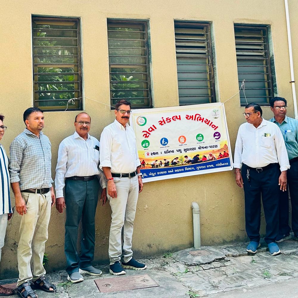 વડાપ્રધાનના જન્મદિવસ પર 'સેવા સંકલ્પ અભિયાન' હેઠળ સ્વચ્છતા અભિયાન:ઘનિષ્ઠ પશુ સુધારણા યોજના વિભાગની કચેરીએ વૃક્ષારોપણ પણ કર્યું