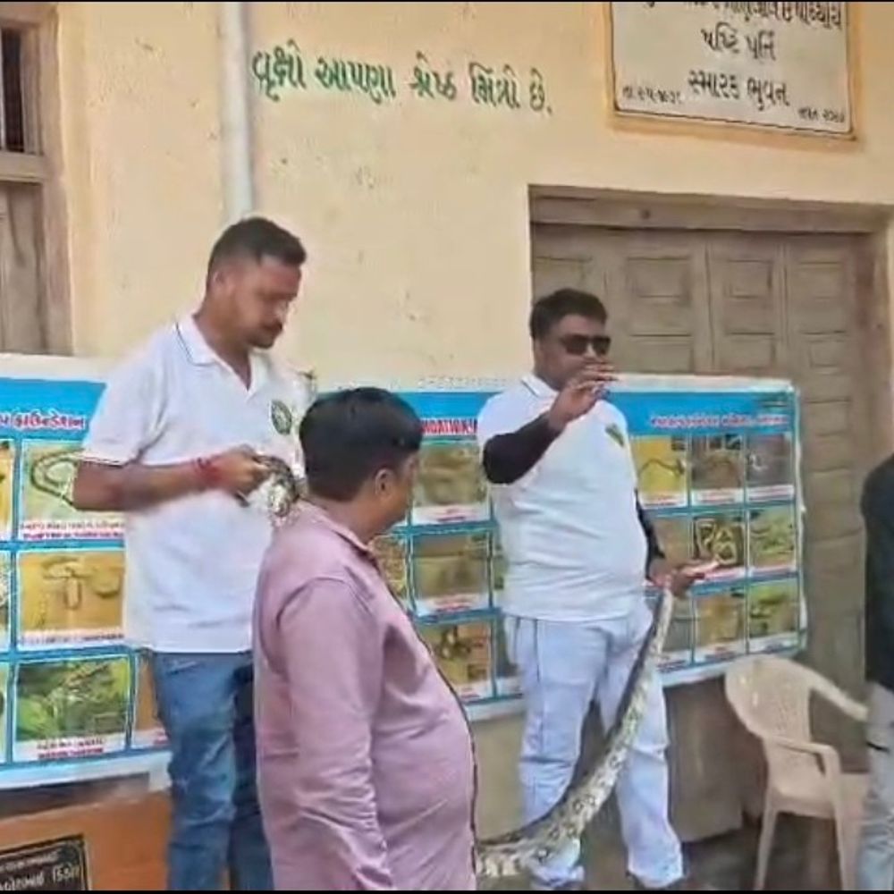 સંતરામપુરમાં વિદ્યાર્થીઓને સાપ અંગે જાગૃત કરાયા:અંધશ્રદ્ધા દૂર કરવા અને સાપ કરડે ત્યારે શું કરવું તે શીખવાડાયું