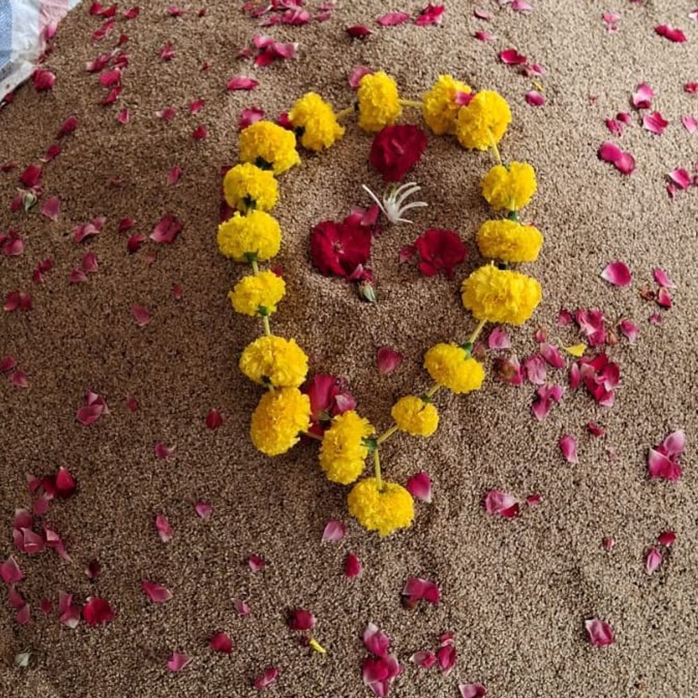 જામનગર યાર્ડમાં ચોમાસુ તલની પ્રથમ આવક:મણના 2251 રૂપિયા ભાવ બોલાયો, સોજી એગ્રો ઈન્ડસ્ટ્રીઝે ખરીદી કરી