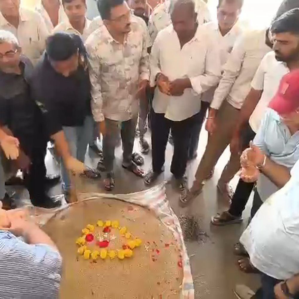 મોસમની જણસીઓની આવકનો શુભારંભ, જશાપરના ખેડૂત તલ લાવ્યા‎:હાપા યાર્ડમાં નવા તલના મુહૂર્તના સોદામાં મણના રૂ.2,251 બોલાયા