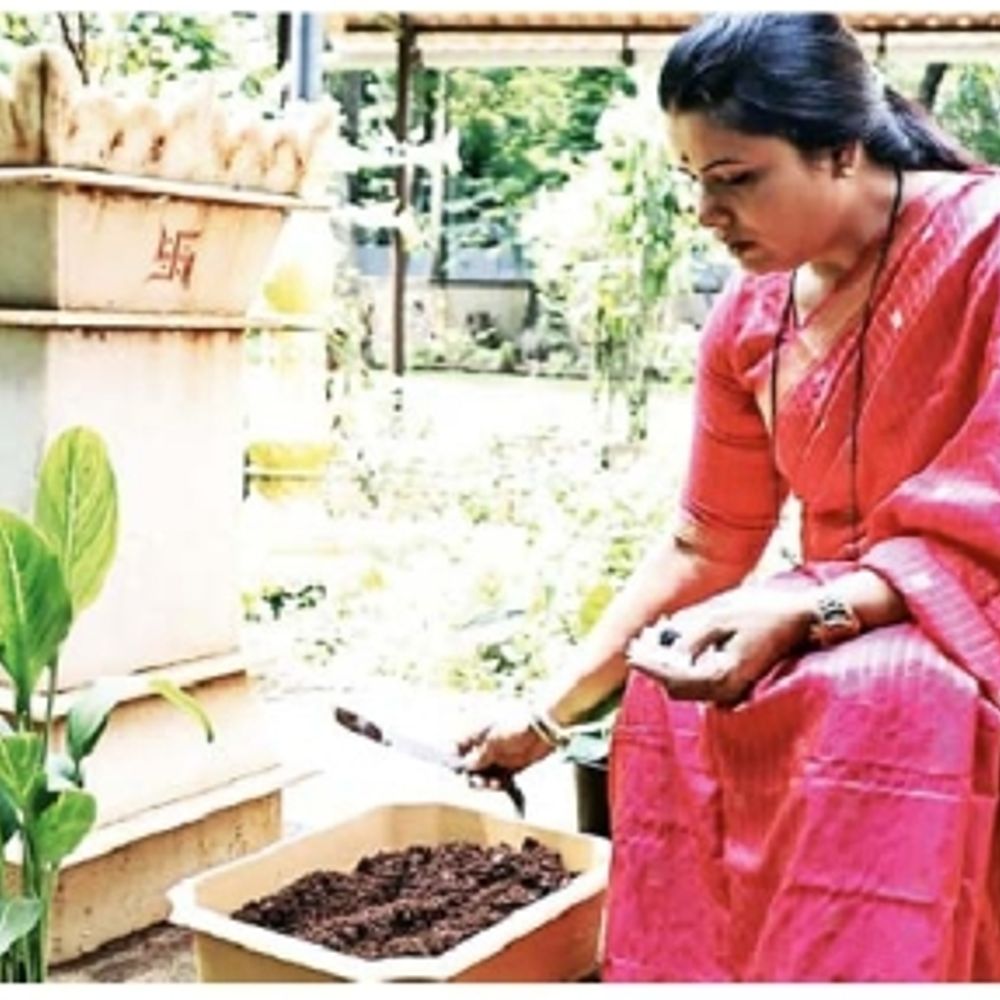 ગણેશોત્સવ બાદ ‘એક ગણપતિ, એક વૃક્ષ’ પહેલનો અમલ