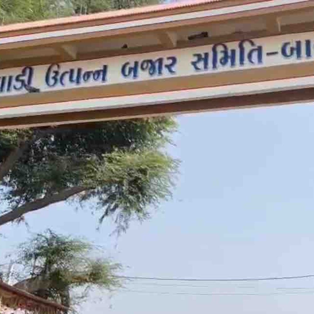 બાબરા APMC ચૂંટણી માટે આજે મતદાન:ભાજપ સામે ભાજપના નારાજ ઉમેદવારો અને કોંગ્રેસની ભેગી પેનલ વચ્ચે જંગ