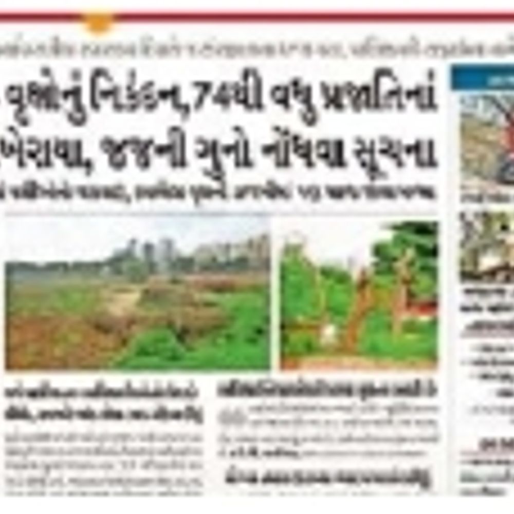 ગોત્રી તળાવ પર વૃક્ષ નિકંદન: ડેપ્યુટી કમિશનર દ્વારા તપાસ, જવાબદારો પર કાર્યવાહી થશે