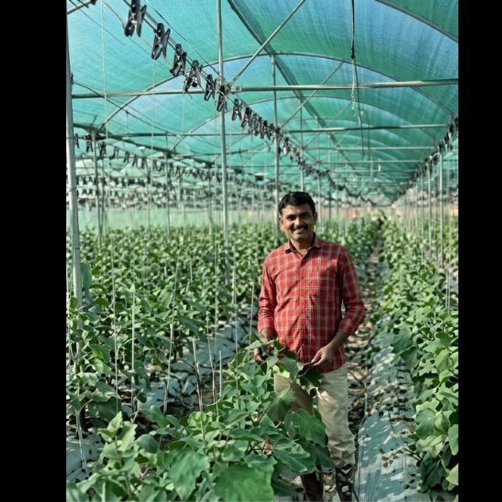 નેટ હાઉસ ખેતી અને નર્સરીથી ખેડૂત બન્યા આત્મનિર્ભર, લાખોની કમાણી કરી બન્યા પ્રેરણારૂપ