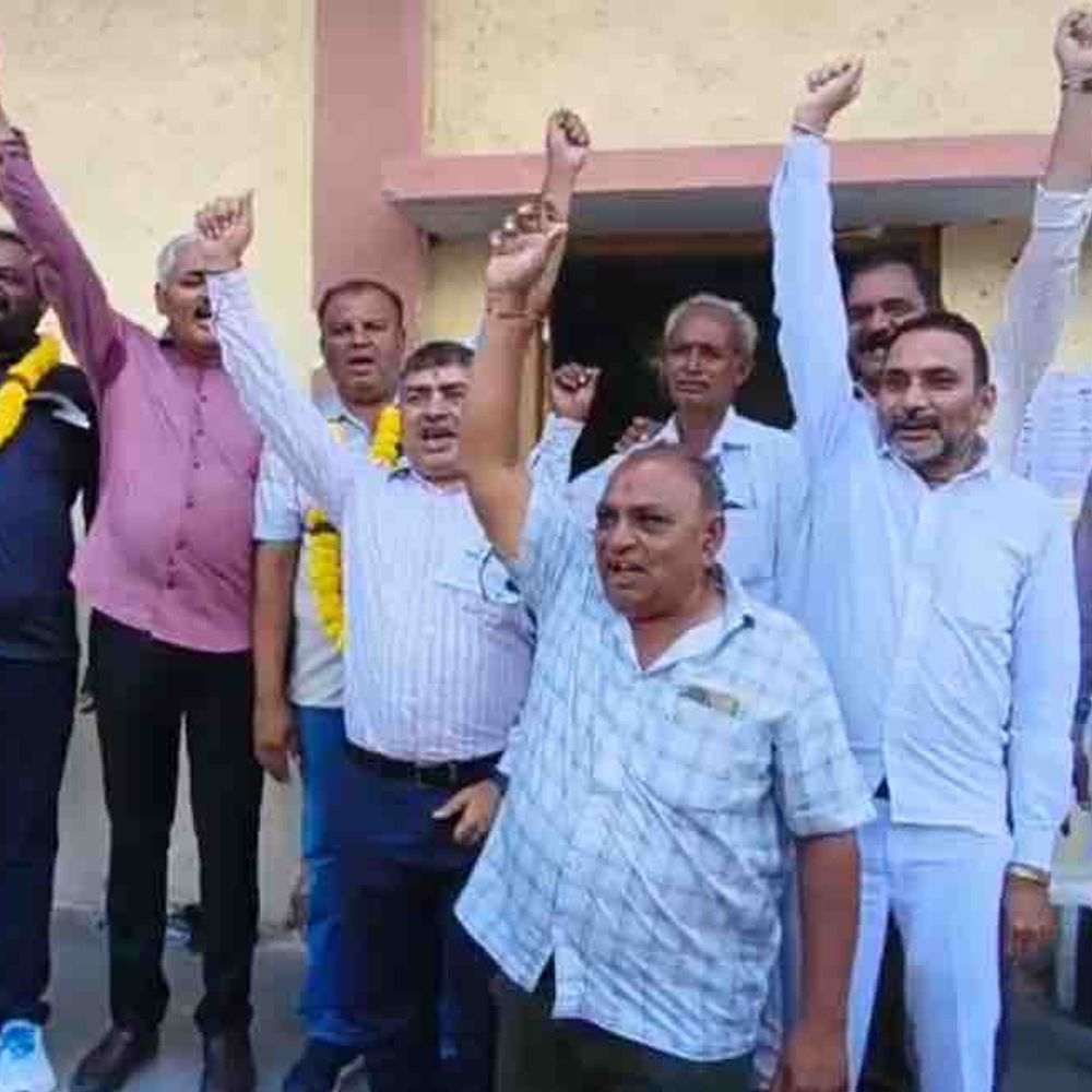 બાબરા APMC ચૂંટણીમાં ભાજપનો ભગવો લહેરાયો:ખેડૂત વિભાગની 10માંથી 8 બેઠક પર વિજય, વેપારી પેનલની 2 બેઠક અને 2 અપક્ષ જીત્યા