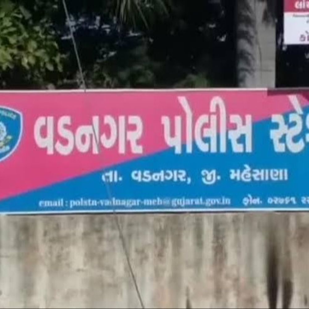 વડનગરમા બોલેરો ચાલક સહિત 4 શખ્સોનો યુવક પર હુમલો:કાનમાં ઇયરફોન કેમ ભરાવ્યા છે તેમ કહી ચપ્પુ મારી જાનથી મારી નાખવાની ધમકી આપી