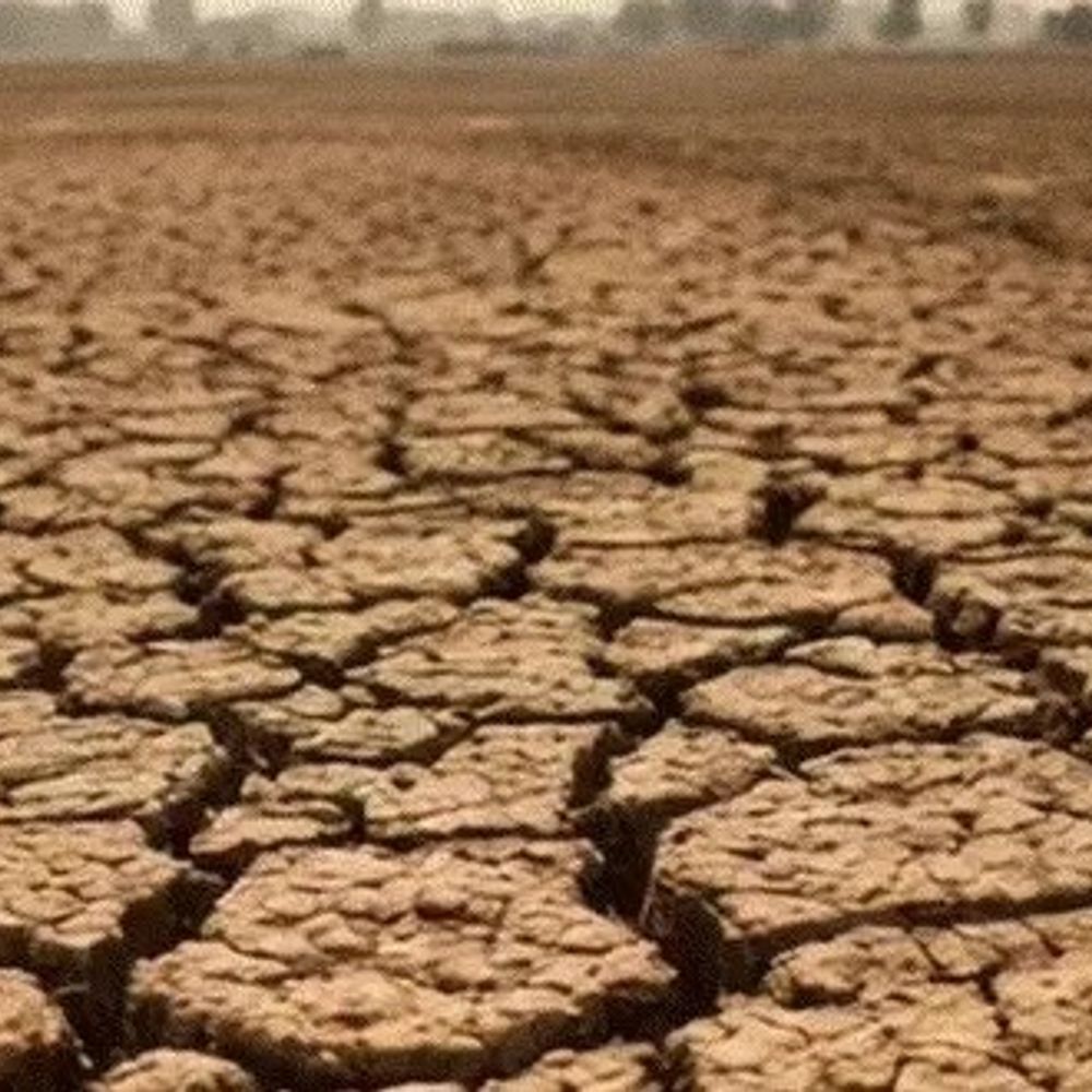 દેશમાં 13મું સૌથી સૂકું ચોમાસું:પંજાબમાં 41% અને રાજસ્થાનમાં 21% ઓછો વરસાદ થયો; 10 ઓક્ટોબર સુધી દેશભરમાંથી ચોમાસું વિદાય લેશે