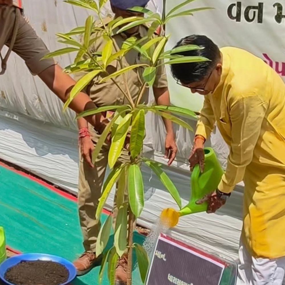 ધારાસભ્ય ભરત પટેલે પારનેરા શાળાની મુલાકાત લીધી:બાળકો સાથે સંવાદ કર્યો, વૃક્ષારોપણ કરી પર્યાવરણ સંરક્ષણનો સંદેશ આપ્યો અને જરૂરિયાતો જાણી