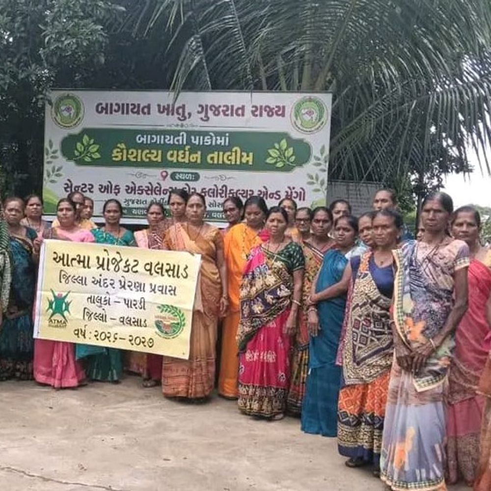 ચણવઈમાં 200 ખેડૂતોએ આધુનિક બાગાયત ખેતીની તાલીમ લીધી:સેન્ટર ઓફ એક્સેલન્સની મુલાકાત લઈ વૈજ્ઞાનિક પાક વ્યવસ્થાપન પદ્ધતિઓનું નિરીક્ષણ કર્યું