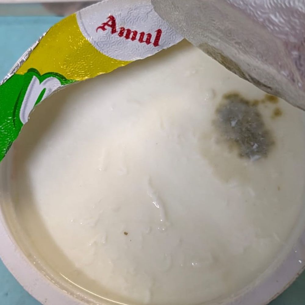 રાજકોટમાં અમૂલ દહીંમાં ફંગસનો વીડિયો વાયરલ:માયાણી ચોક પાસેના પાર્લરમાંથી ગ્રાહકે દહીંની ડબ્બી ખરીદી, આરોગ્ય અધિકારીએ કહ્યું - ફરિયાદ મળશે તો કાર્યવાહી થશે