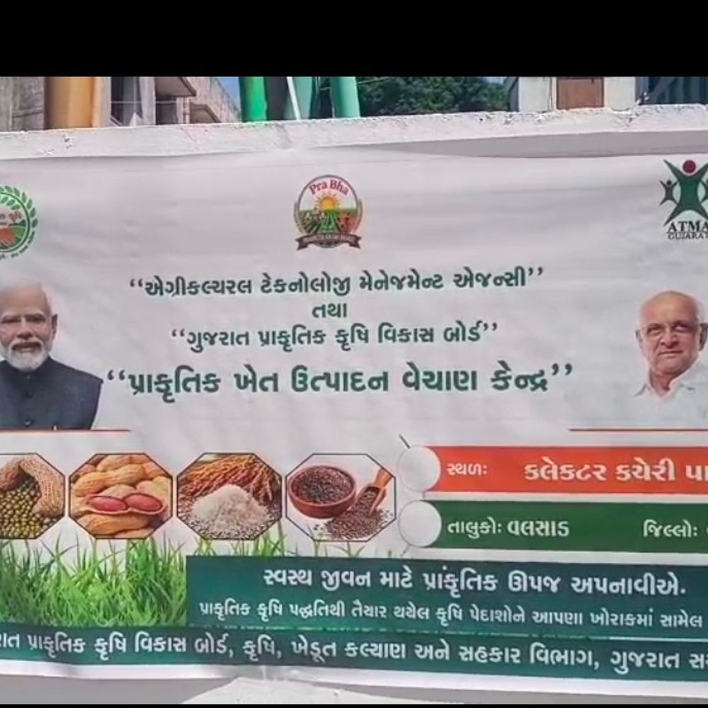 વલસાડમાં ગુજરાતનું પહેલું પ્રાકૃતિક ખેતી વેચાણ કેન્દ્ર શરૂ:ખેડૂતોને વચેટિયા વગર સીધો ₹120 ભાવ મળશે, પારડી સહિત 3 જગ્યાએ પણ કેન્દ્ર