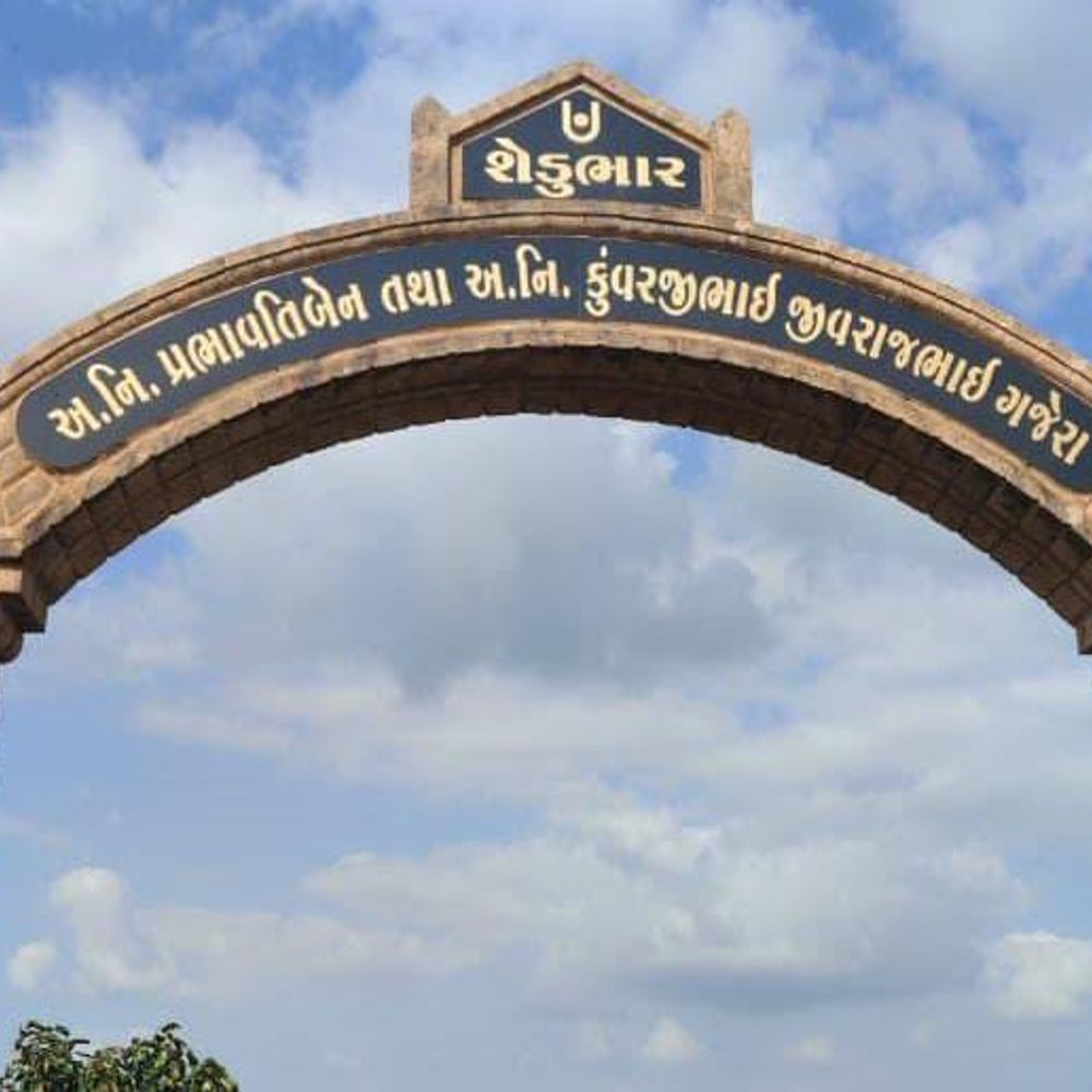 જતીનભાઈ ગજેરા: શેડુભારના વિકાસ માટે શિક્ષણ, આરોગ્ય અને સામાજિક સેવામાં લાખોનું યોગદાન