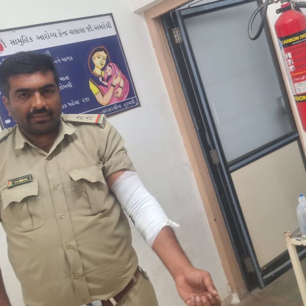 સિંહને ગેરકાયદેસર રીતે બતાવવાની માંગ,