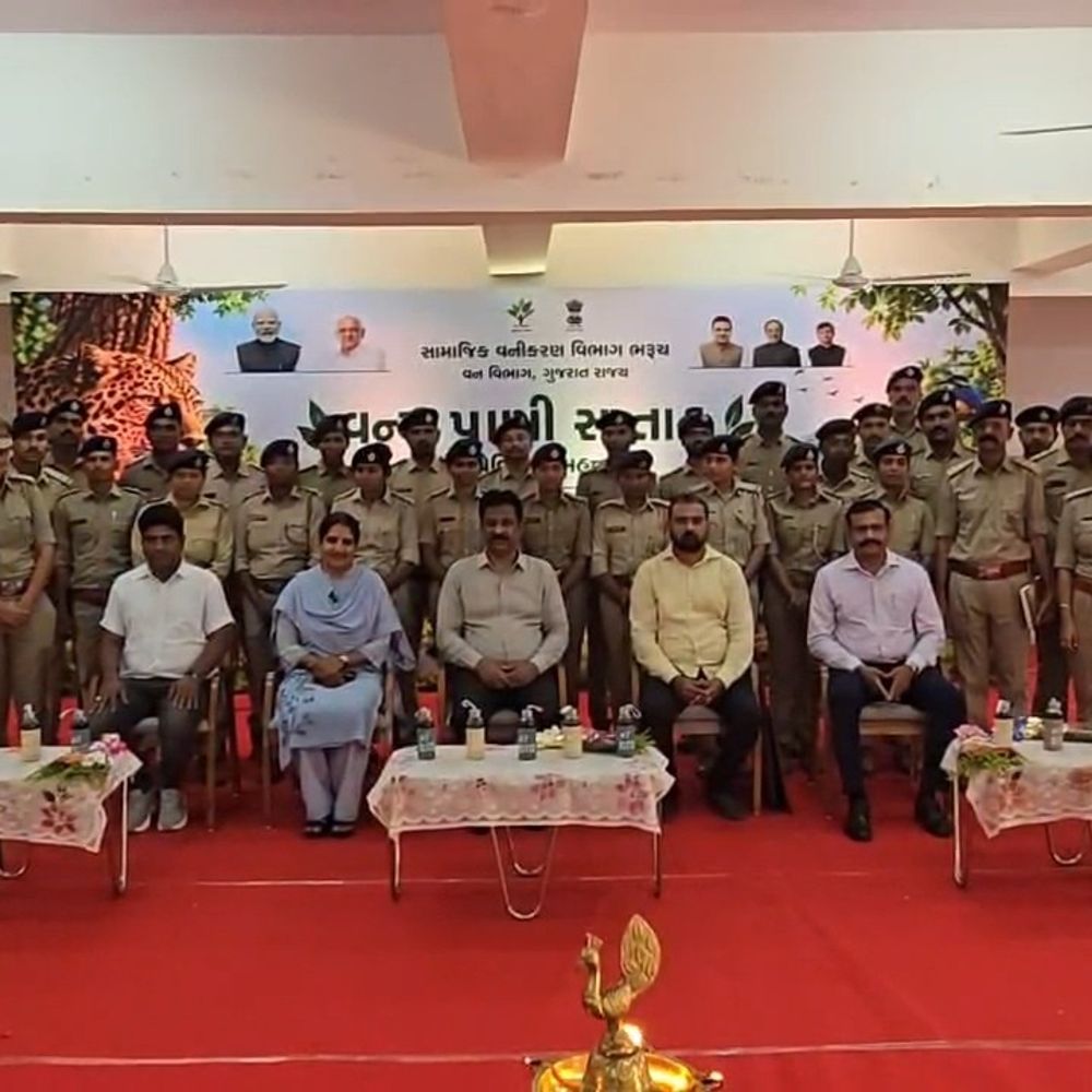 ભરૂચમાં વન્ય પ્રાણી સપ્તાહ: વાઈલ્ડ લાઈફ ફોટો પ્રદર્શન શરૂ:ધારાસભ્ય રમેશ મિસ્ત્રી અને વન અધિકારી ભાવના દેસાઈએ ઉદ્ઘાટન કર્યું, 8 ઓક્ટોબર સુધી ખુલ્લું