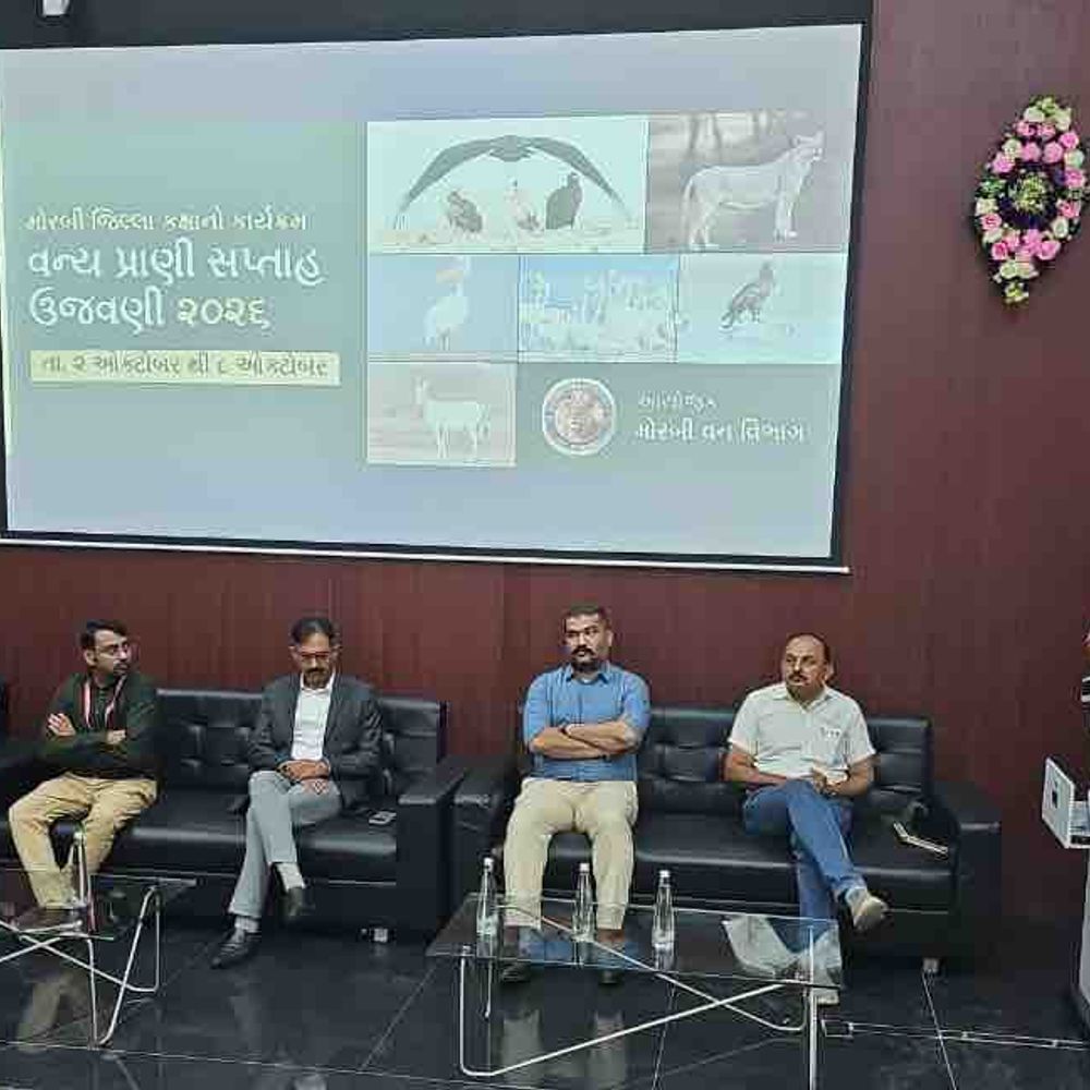 નાયબ વન સંરક્ષકે વન્યપ્રાણી સંરક્ષણ અંગે માર્ગદર્શન આપ્યું:વન વિભાગે વન્યપ્રાણીઓનું મહત્ત્વ, જીવનચક્ર અને સંરક્ષણ સમજાવ્યું; બે ટ્રસ્ટનું સન્માન કરાયું