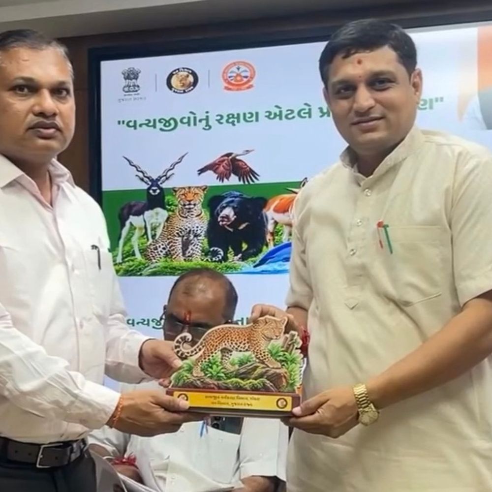 પંચમહાલમાં વન્યજીવ સપ્તાહની ઉજવણી:સામાજિક વનીકરણ વિભાગ અને યુનિવર્સિટીએ વન્યજીવો અને પર્યાવરણ સંરક્ષણનો સંદેશ આપ્યો