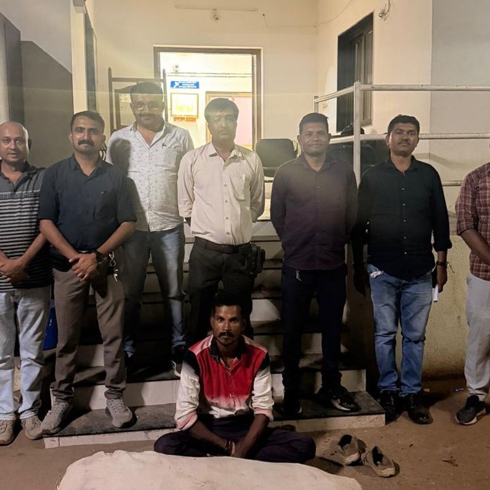 પોશીનાના દોતડ ગામે કપાસના ખેતરમાં ગાંજાનું વાવેતર ઝડપાયું:₹5.57 લાખનો મુદ્દામાલ જપ્ત, 13.143 કિલો ગાંજાના છોડ સાથે એક આરોપી પકડાયો