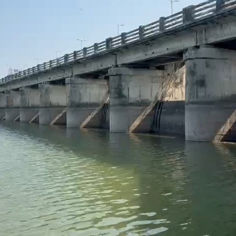 બોટાદના 9 ડેમમાં માત્ર 30% પાણી, શિયાળુ પાક પર સંકટ:ચણા, ઘઉં, જીરૂ અને વરીયાળીના વાવેતરને અસર થવાની ખેડૂતોને ચિંતા