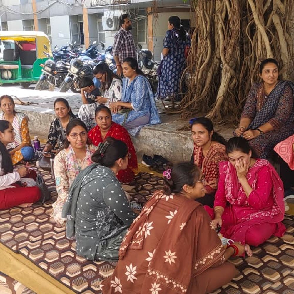 મહેસાણામાં મહેસુલી કર્મચારીઓ અને વકીલોની હડતાળ, કલેક્ટર કચેરી અને કોર્ટમાં કામકાજ ઠપ્પ