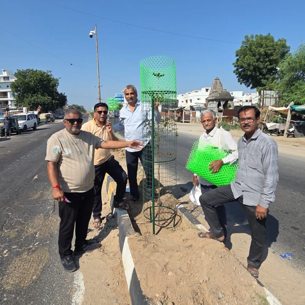 પાટણના સિદ્ધપુર રોડ પર વૃક્ષારોપણ કાર્યક્રમ યોજાયો:હોટલ લોટસના સહયોગથી ટ્રીગાર્ડ સાથે 50 વૃક્ષો વાવ્યા, કુલ 130 વૃક્ષોથી માર્ગ સુશોભિત થયો