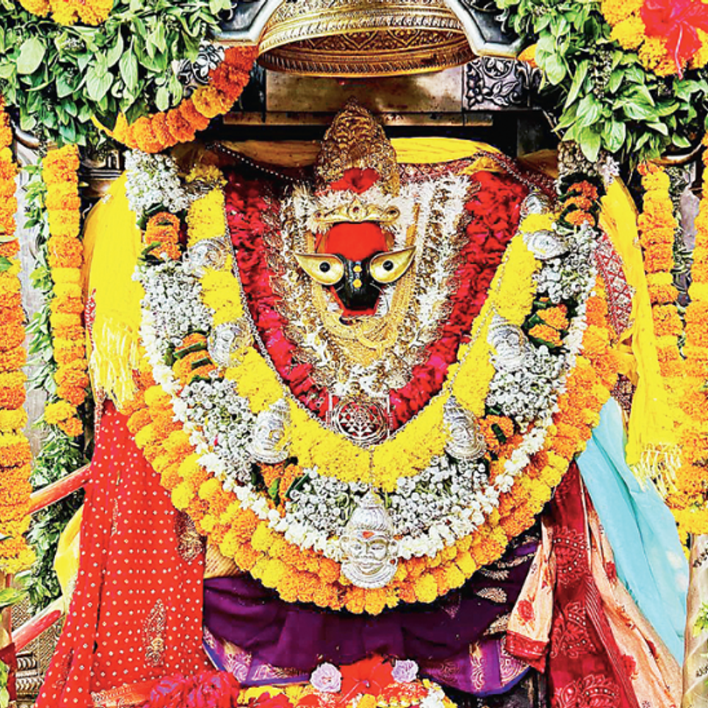 નવરાત્રિને 'મધર્સ ડે' અને શિવરાત્રિને 'ફાધર્સ ડે' તરીકે ઉજવવાની હિમાયત