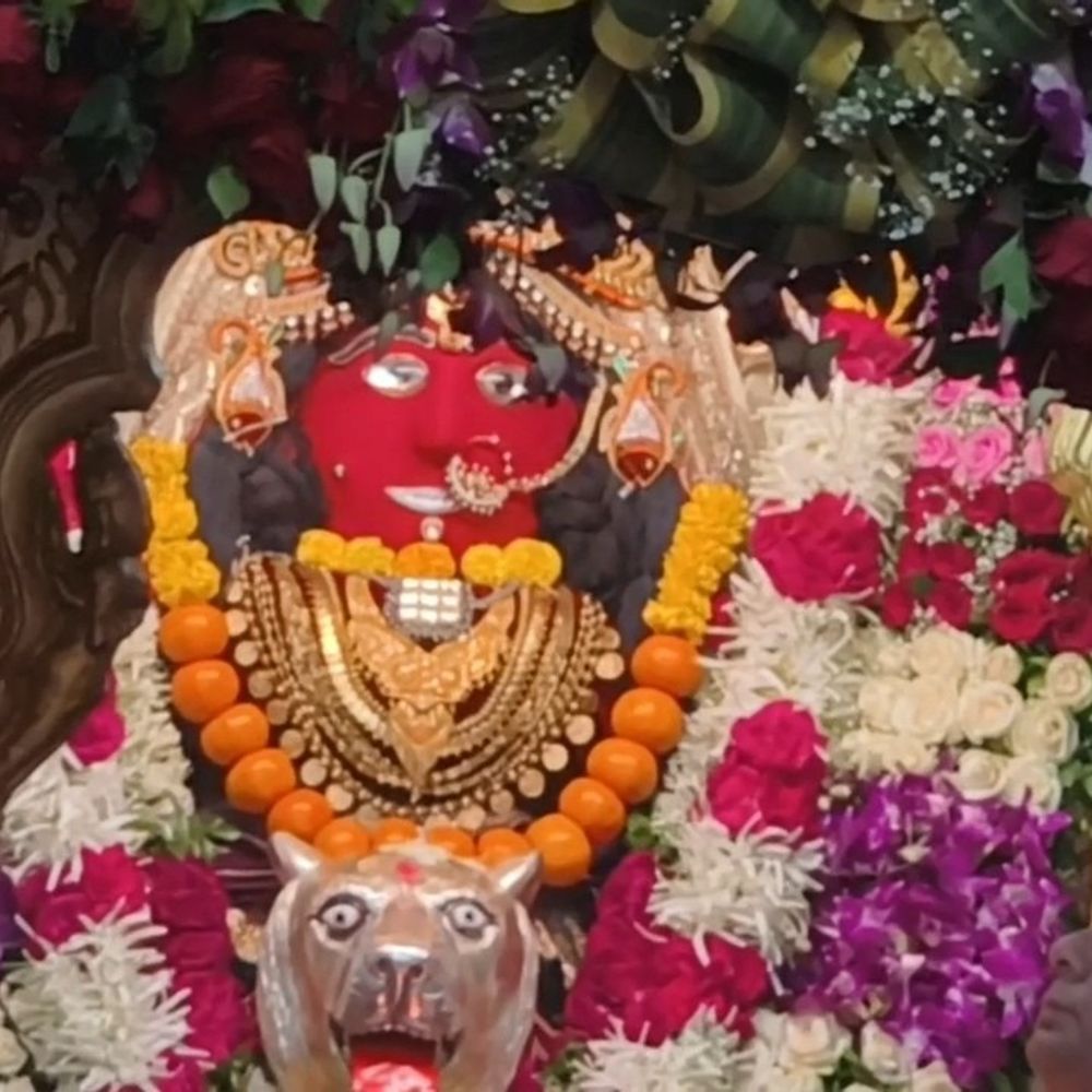 રાજપીપળાના હરસિદ્ધિ માતાજીના મંદિરે નવરાત્રિમાં ભક્તોનું ઘોડાપૂર:દોઢ લાખથી વધુ શ્રદ્ધાળુઓએ દર્શન કર્યા, 2 કિમી લાંબી કતારો લાગી