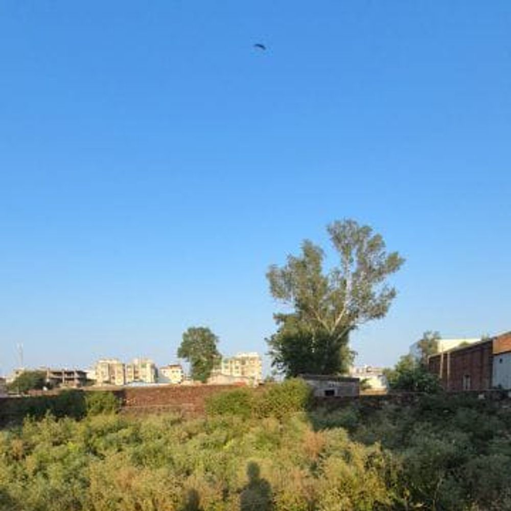 હિંમતનગર પાલિકા: ખાળકૂવાની ગંદકી સાફ કર્યા વિના ફોટા અપલોડ કરી ફરિયાદનું ખોટું નિરાકરણ