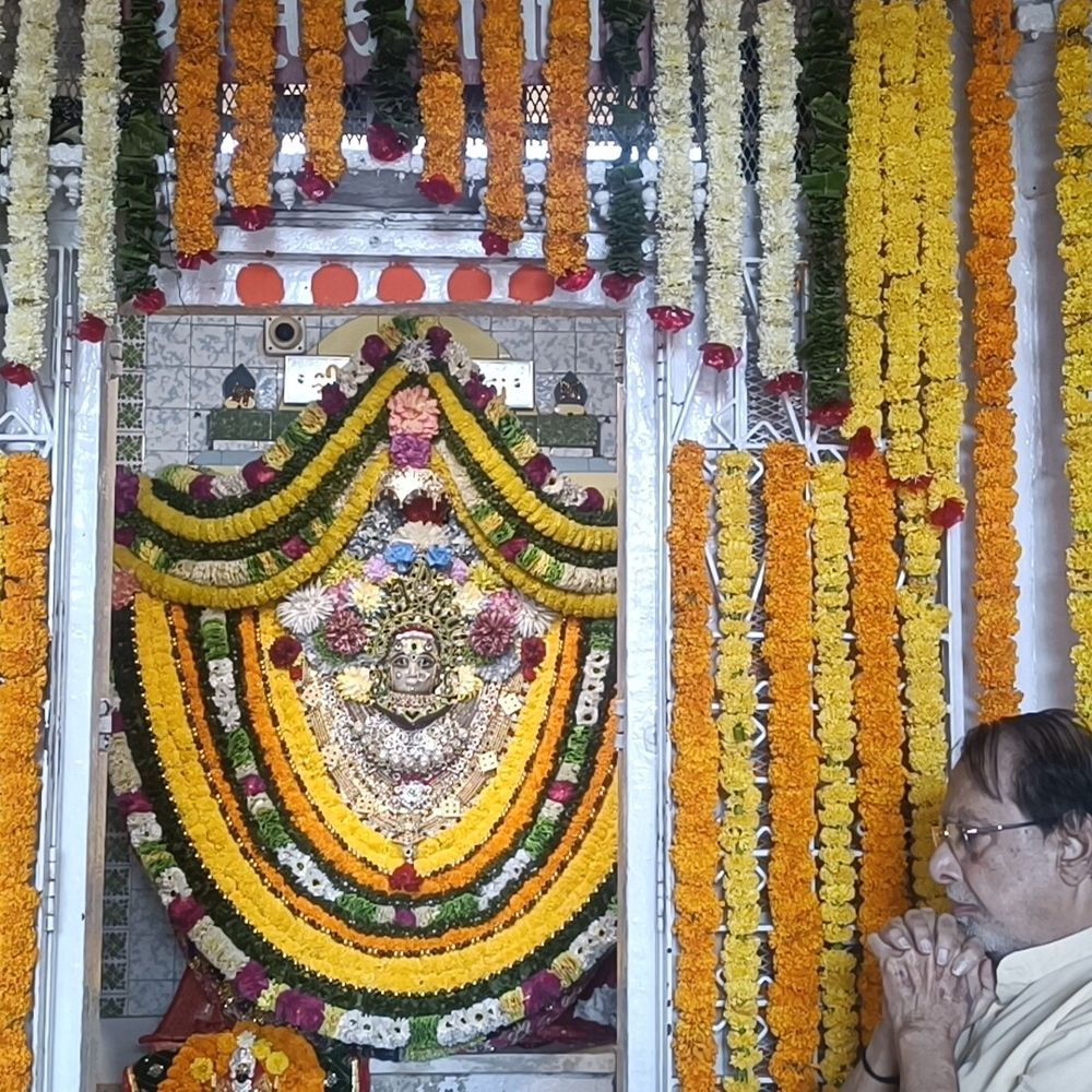 કાલિકા માતાજી મંદિરમાં આસો નવરાત્રીની પાંચમે વિશેષ શણગાર:માતાજીને નવા અલંકારો પહેરાવાયા, મંદિર દેશ-વિદેશના ફૂલોથી સજાવાયું; આઠમે વધુ ભવ્ય ડેકોરેશન
