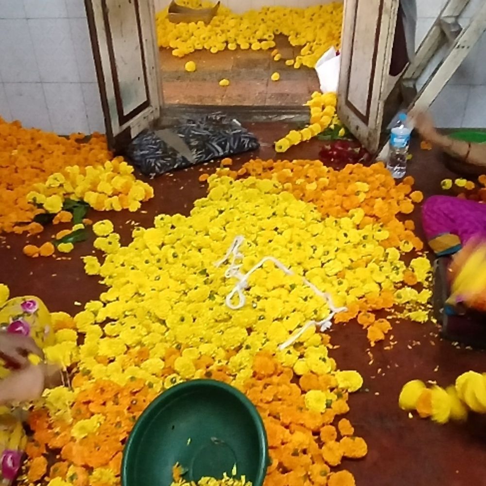નવરાત્રિમાં પોરબંદરના ફૂલબજારમાં ભારે ખરીદીનો ઉત્સાહ, રાજકોટ-વડોદરાથી આવક