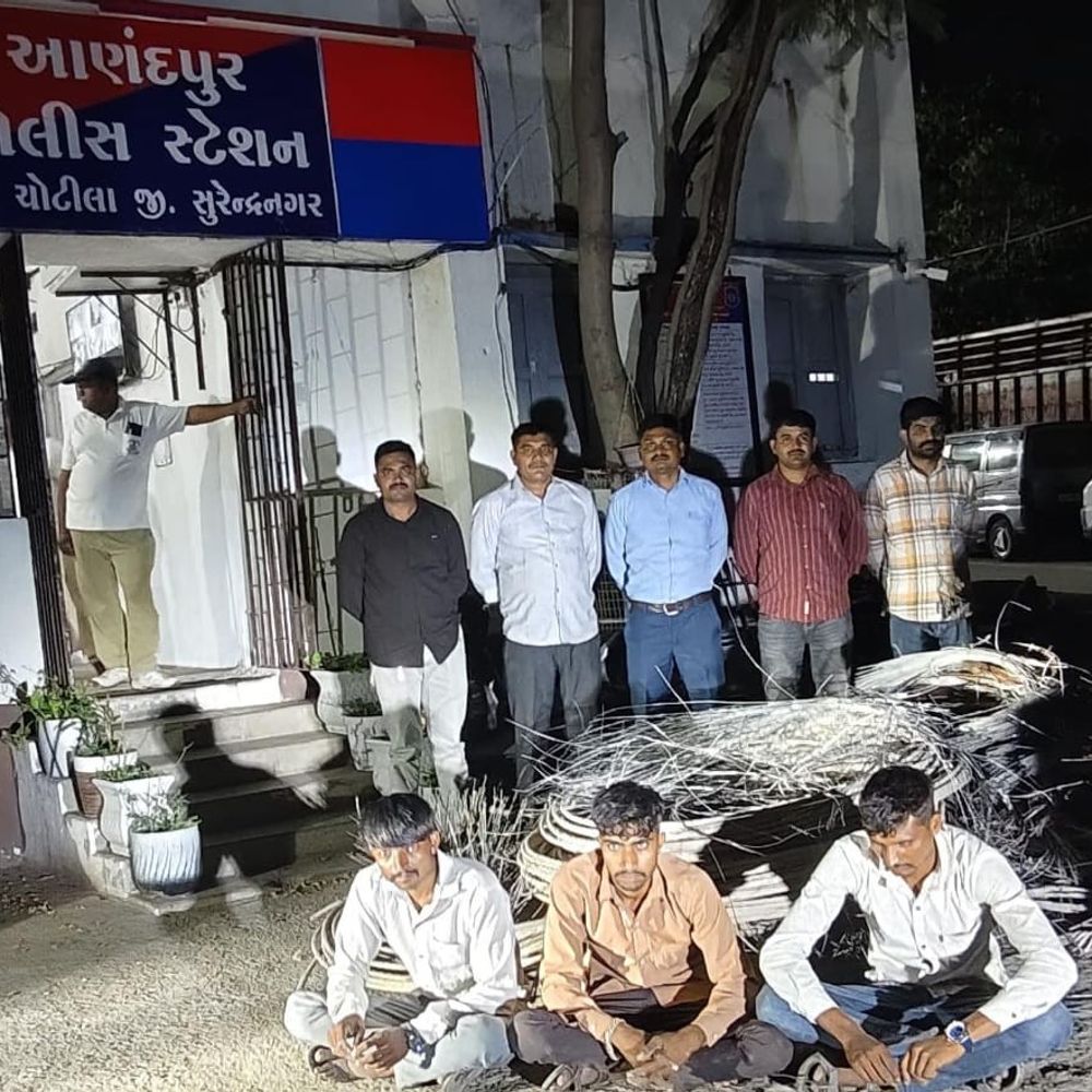 ચોટીલાના રાજપરામાં વાયર ચોરીનો ભેદ ઉકેલાયો:720 કિલો એલ્યુમિનિયમ વાયર અને ₹1.80 લાખના મુદ્દામાલ સાથે 3 ઝડપાયા