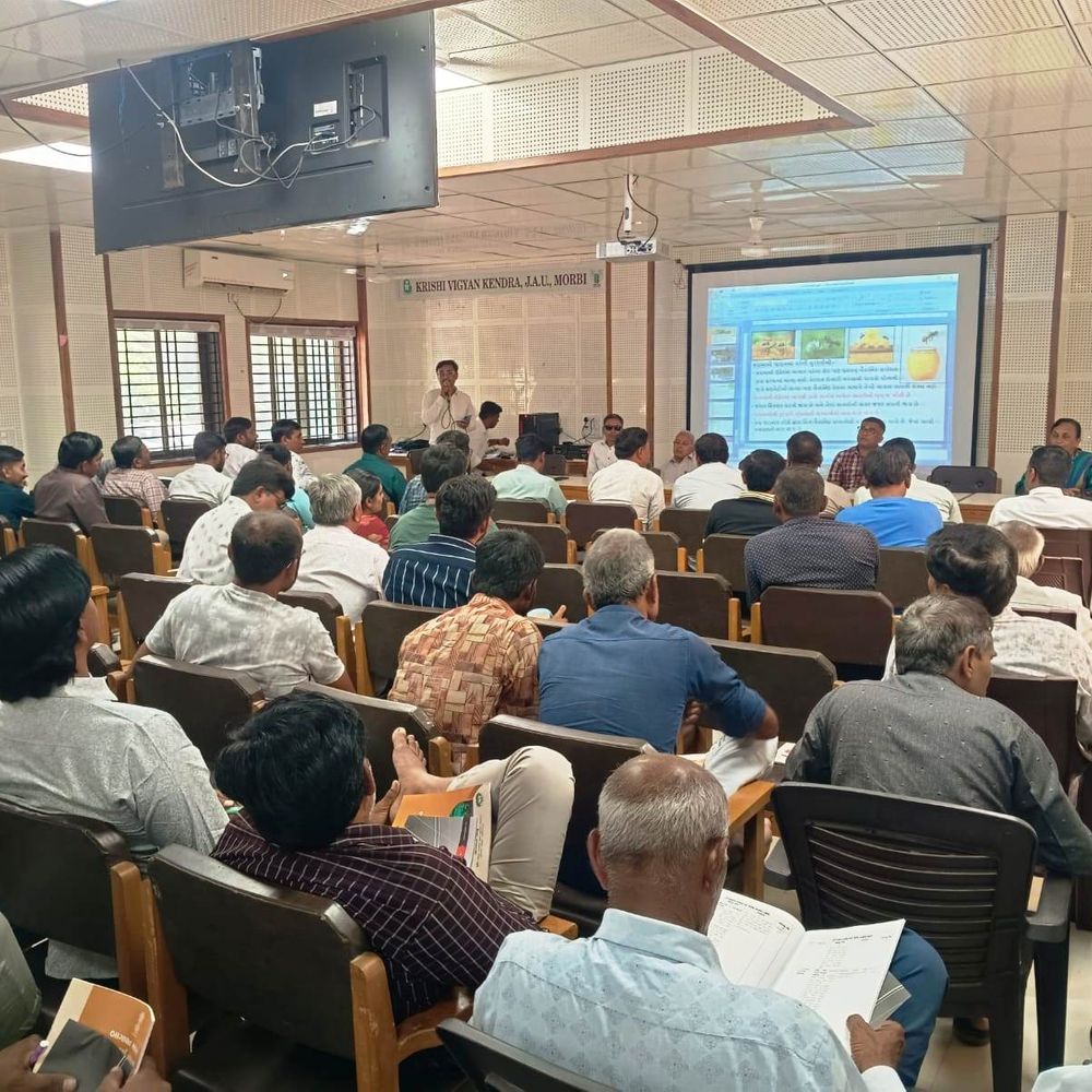 મોરબીના ગોર ખીજડીયામાં મિશન મધમાખી સેમિનાર યોજાયો:પરાગનયન અને મધમાખી પાલનથી ખેડૂતોની આવક વધારવા માર્ગદર્શન અપાયું