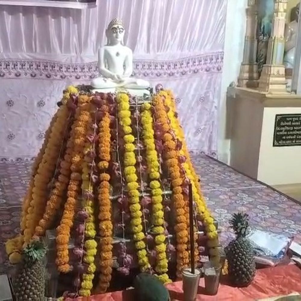 બોટાદ જૈન સંઘના આંગણે સરસ્વતી મહાપૂજનની ઉજવણી:પંન્યાસ પ્રવર ચારિત્રસેન વિજયજી મ.સા. અને પીયુષપૂર્ણા શ્રીજી મ.સા.ની નિશ્રામાં કાર્યક્રમ યોજાયો