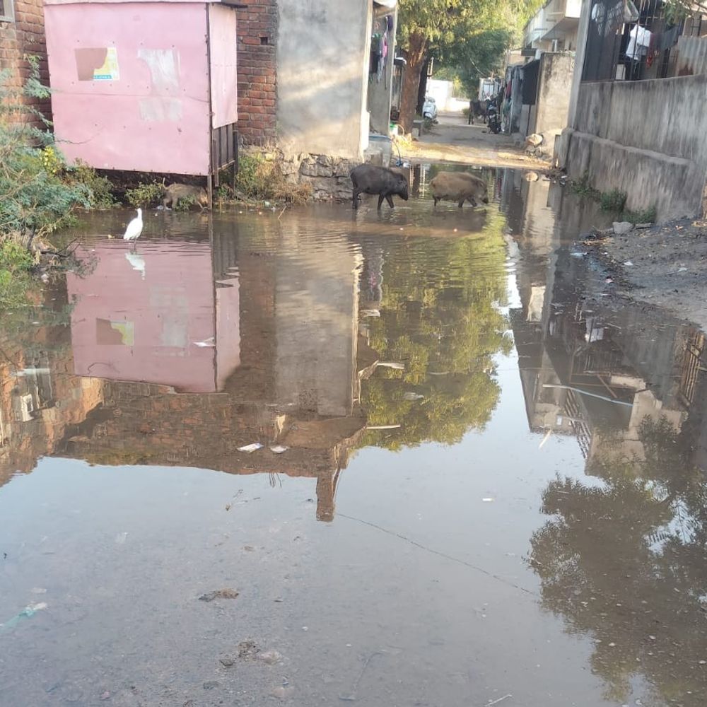 હિંમતનગરના ભોલેશ્વરમાં રોડ પર ગટરનું પાણી ભરાયું:ખાડિયા વિસ્તારમાં અવરજવર મુશ્કેલ બની, પાલિકાએ સફાઈ કરાવી